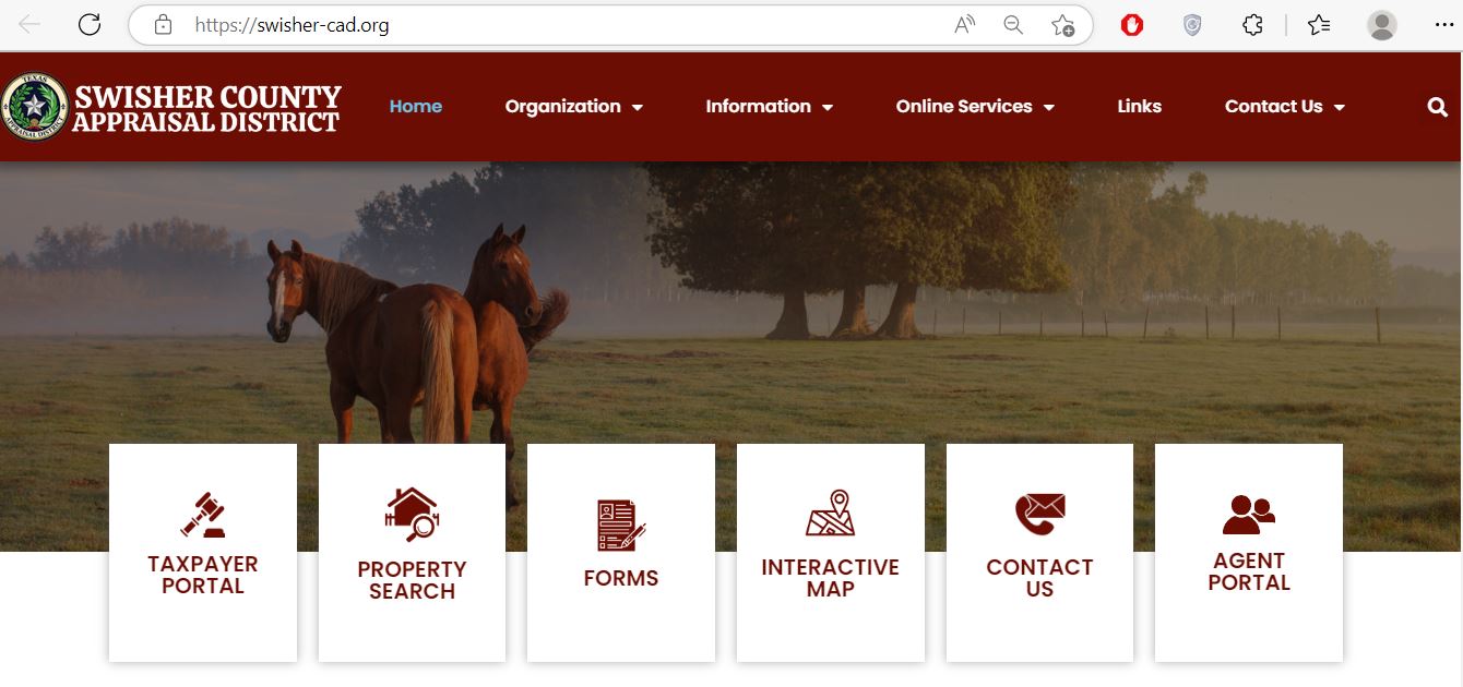 swisher cad property search